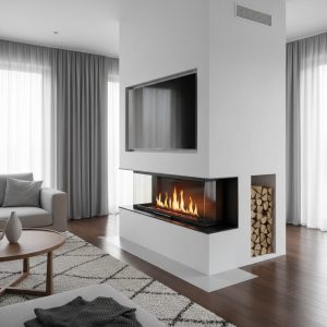 freepik__chemine-insert-pour-la-rnovation__49357