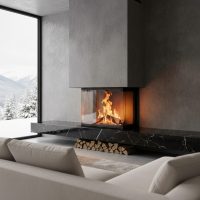freepik__chemine-vitre-panoramique__49352